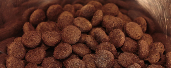 pet food pet food industry