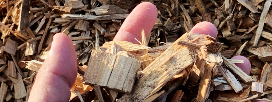 Laidig reclaim auger advancing through palm kernel shells